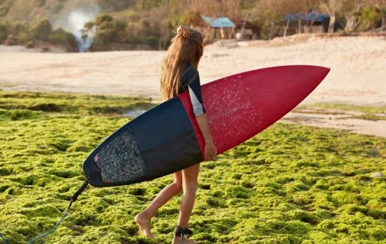 Treasure Island: Indonesia’s Secret Right-Hand Surf Wave - RRI.co.id