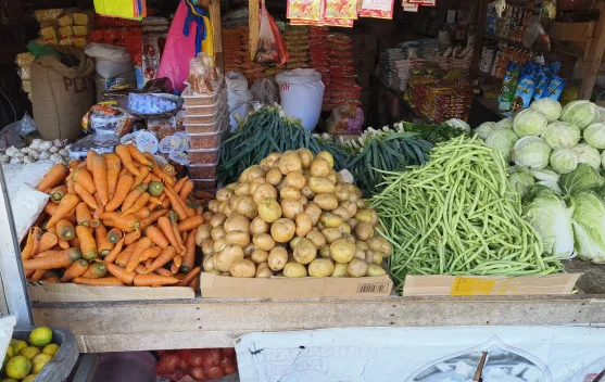 FAO Indonesia Calls for Affordable Healthy Diet Innovation as Hunger Declines