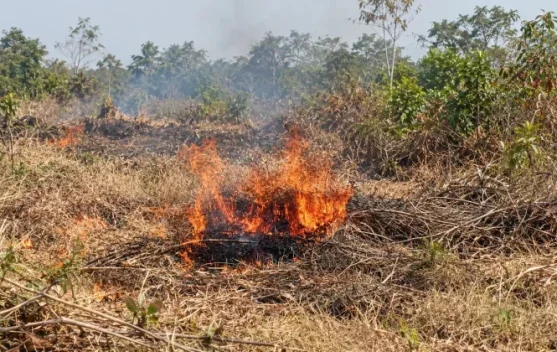 House Speaker Urges Protection amid Prolonged Forest Fires - RRI.co.id