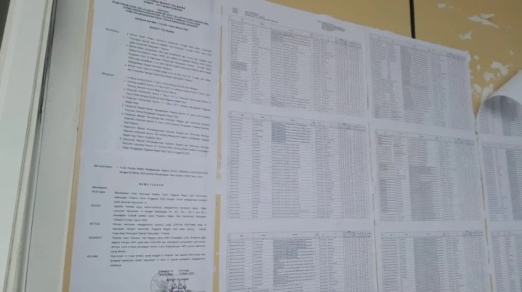 Peserta SKB CPNS Formasi  2024 Pemkab Tolikara  Lulus Seratus Persen