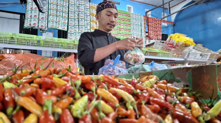 Harga Cabai Rawit di Wamena Tembus Rp150 Ribu per Kilogram