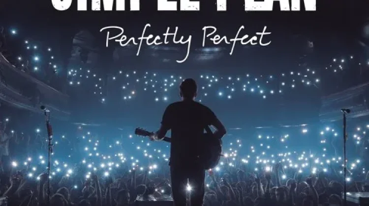 Kisah Dibalik Lagu Perfect Milik Simple Plan, Berikut Penjelasannya