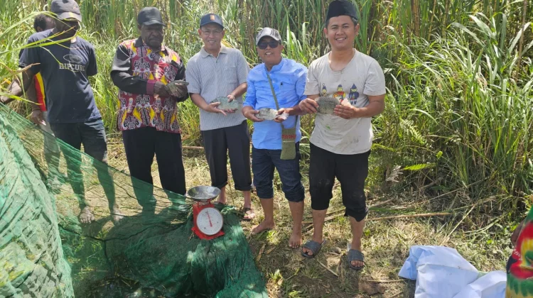 Kampung Zakat Dorong Ekonomi Umat di Jayawijaya lewat Budidaya Ikan Nila