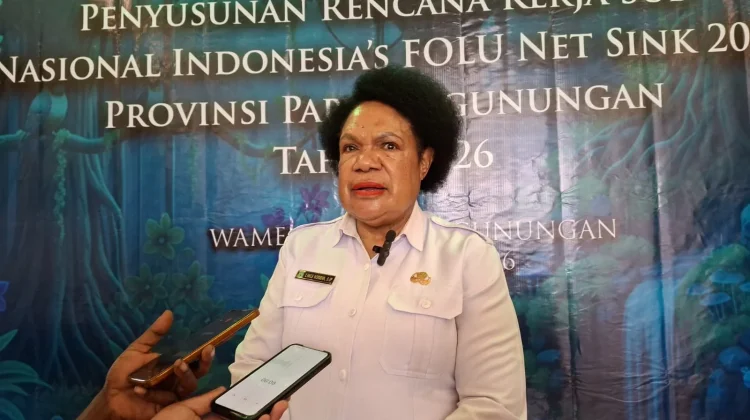 DLHKP Beberkan Strategi menuju FOLU Net Sink 2030 di Papua Pegunungan