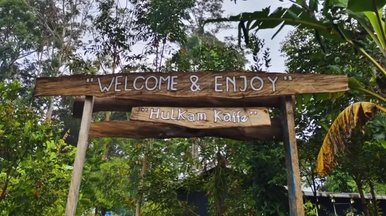 Tinus Wetipo Membangun Mimpi dari Kayu Bekas dan Filosofi "Hati Baik" di Hulkam Cafe
