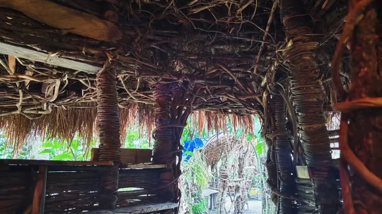 Tinus Wetipo Membangun Mimpi dari Kayu Bekas dan Filosofi "Hati Baik" di Hulkam Cafe