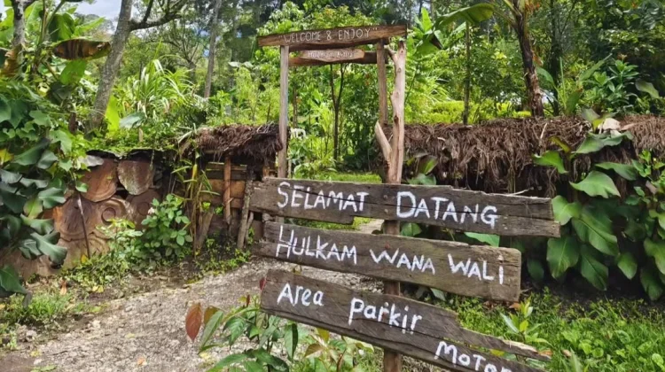 Tinus Wetipo Membangun Mimpi dari Kayu Bekas dan Filosofi "Hati Baik" di Hulkam Cafe