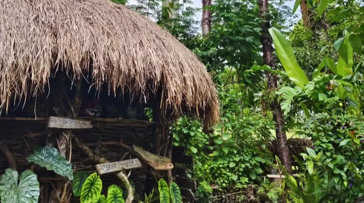 Tinus Wetipo Membangun Mimpi dari Kayu Bekas dan Filosofi "Hati Baik" di Hulkam Cafe