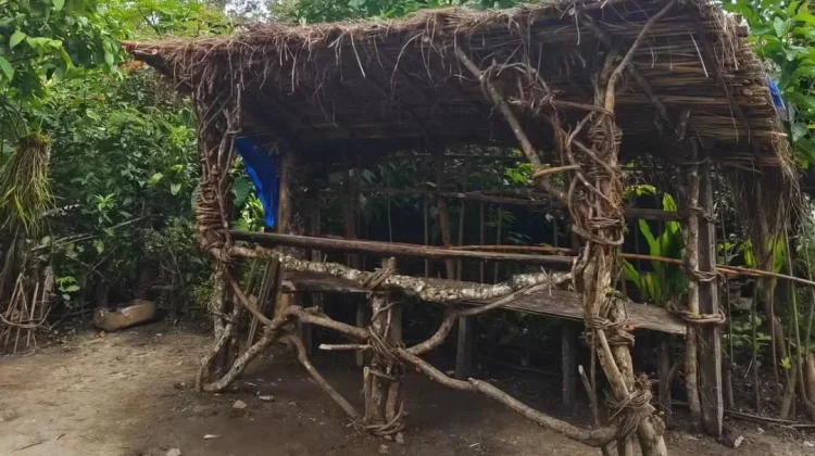 Tinus Wetipo Membangun Mimpi dari Kayu Bekas dan Filosofi "Hati Baik" di Hulkam Cafe