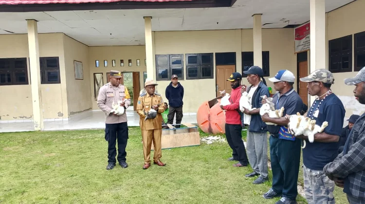 Kepala Distrik Pirime Serahkan Bantuan Bibit Kelinci untuk 14 Kelompok Usaha