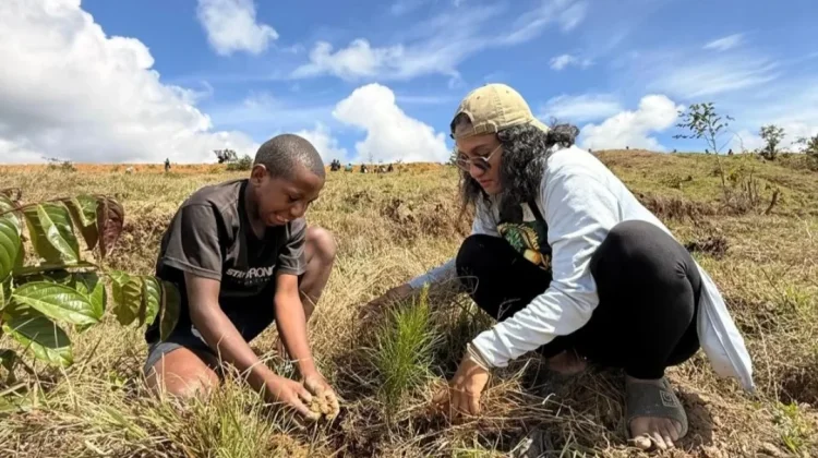 Menanam Pohon Berbasis Karakteristik Lahan demi Perlindungan
