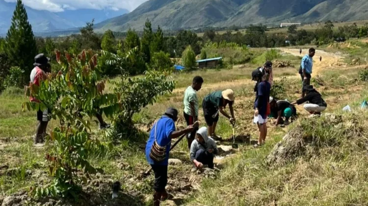 Menanam Pohon Berbasis Karakteristik Lahan demi Perlindungan