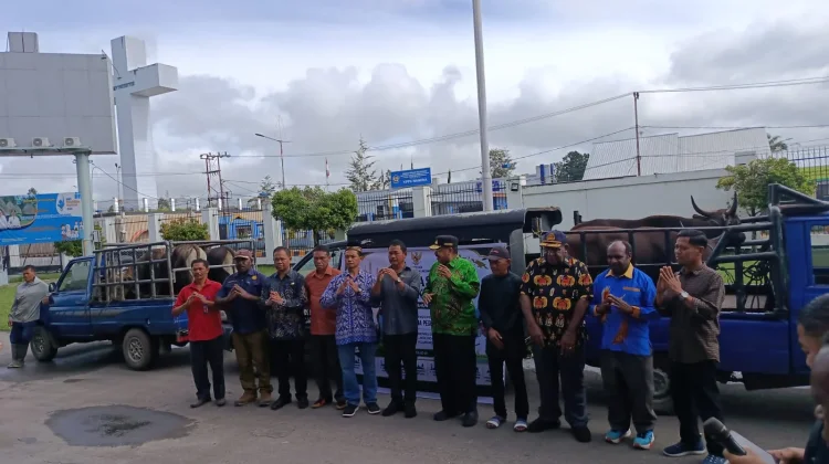 John Tabo Serahkan Bantuan Hewan Kurban Presiden untuk Idul Adha