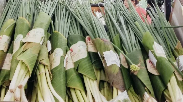Daun Pisang Geser Plastik Sekali Pakai di Supermarket Asia