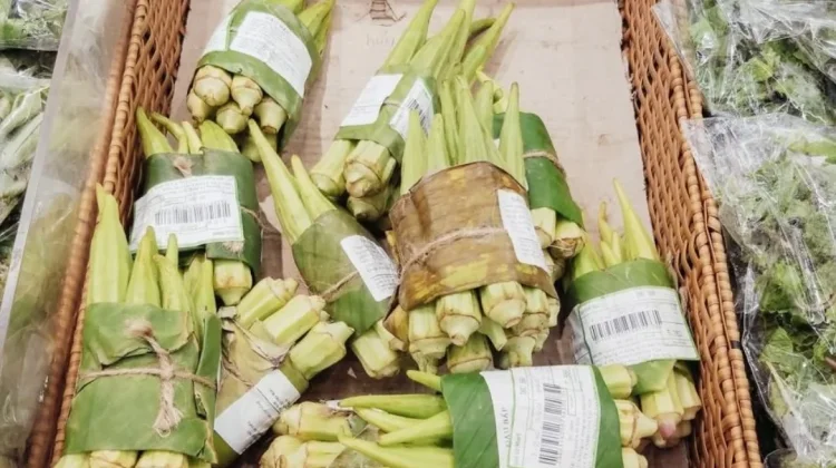 Daun Pisang Geser Plastik Sekali Pakai di Supermarket Asia