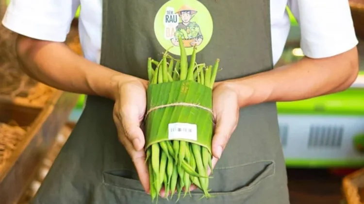 Daun Pisang Geser Plastik Sekali Pakai di Supermarket Asia