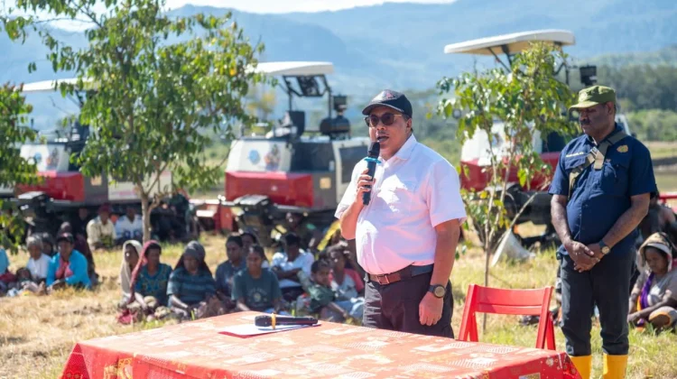 Pemprov Papua Pegunungan Dorong Ketahanan Pangan Melalui 2.000 Hektar Sawah