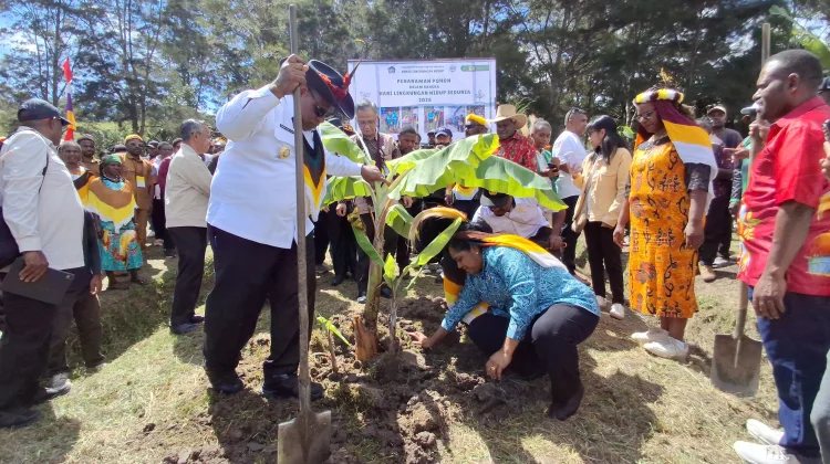 Pemkab Jayawijaya Tanam Pohon di Yalengga Dorong Pangan Lokal Berkelanjutan