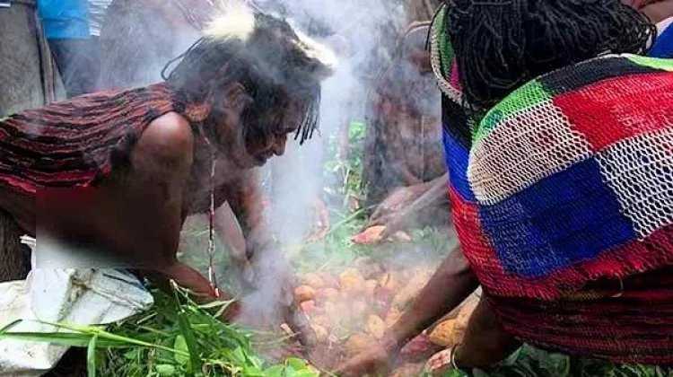 Mengenal Ragam Tradisi Bakar Batu Khas Papua Pegunungan