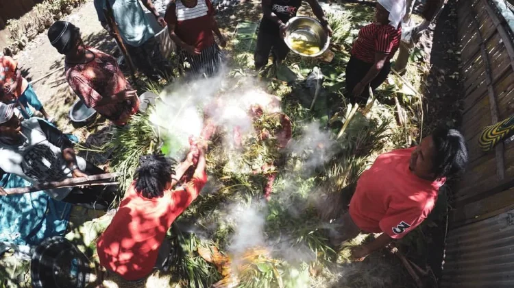Membedah Filosofi Sakral Tanah dan Batu dalam Tradisi Bakar Batu Papua Pegunungan