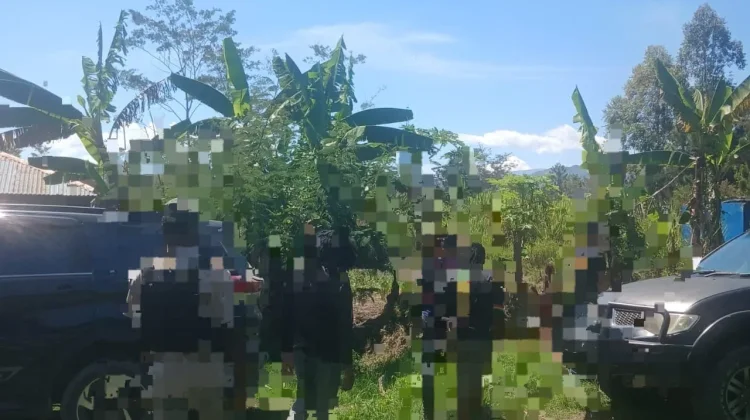 Satreskrim Polres Jayawijaya Amankan Terduga Pelaku Curanmor di Wamena
