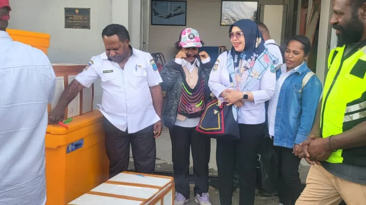 Ikan Segar Perdana dari Biak Tiba di Wamena, Dukung MBG dan Tekan Inflasi