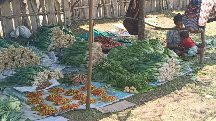 Satu Noken Berjuta Harapan, Geliat Ekonomi dari  Kampung Walesi Jayawijaya