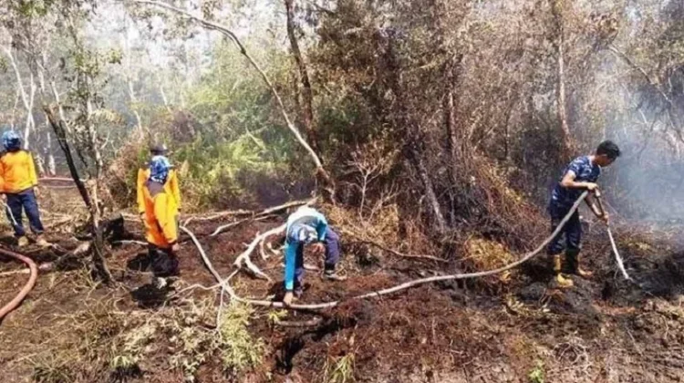 Pemerintah Perkuat Mitigasi Karhutla Hadapi El Nino 2026