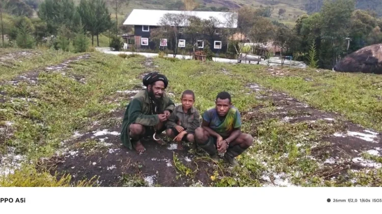 Hujan Es Rusak Lahan Pertanian, Pemda Lanny Jaya Bentuk Tim Tanggap Darurat