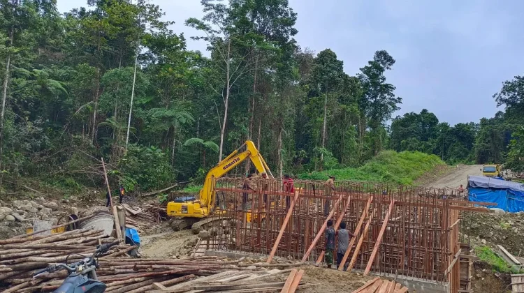 Bupati Pegunungan Bintang Pantau Pembangunan Jalan Dan Jembatan Distrik Iwur