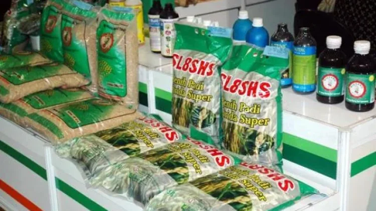 Kementan Siapkan Subsidi Benih untuk 1 Juta Hektare Lahan pada 2027