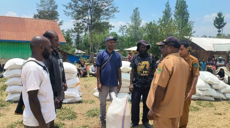 Pemkab Nduga Salurkan bantuan beras bagi masyarakat di 11 distrik wilaya I