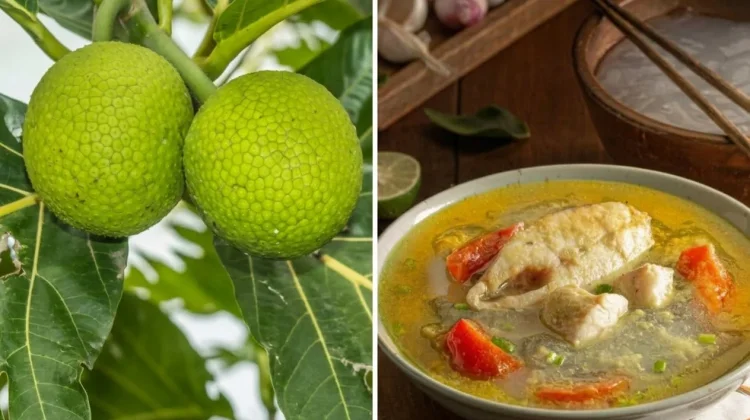 Mengenal 5 Superfood Lokal Kaya Nutrisi yang Tak Kalah dari Pangan Impor