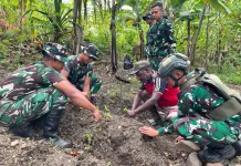 Satgas Yonif 511/DY Pos Kanggime Kembangkan Pertanian di Tolikara