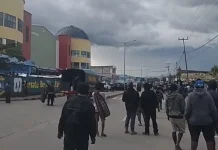 Intelektual Lanny Jaya Desak Pemkab Gelar Pemilihan Kepala Kampung Serentak