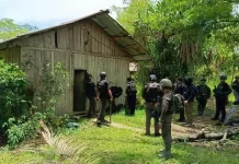 Satgas Damai Cartenz Tangkap Komandan KKB di Yahukimo