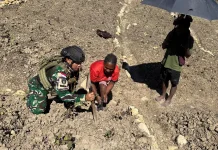Satgas Yonif 511/DY Perkuat Ketahanan Pangan di Distrik Malagai