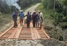 Bikin Jembatan Swadaya, Kadis PUPR Apresiasi Warga Distrik Wolo dan Bpiri