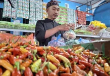 Harga Cabai Rawit di Wamena Tembus Rp150 Ribu per Kilogram