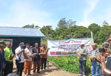 Anggota DPRK Jayawijaya Hadiri Panen Raya di Walaik
