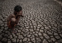 Waspada El Niño! BMKG Prediksi Kemarau 2026 di Jayawijaya Lebih Panjang