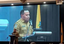Papua Pegunungan Fokuskan Pembangunan pada Layanan Dasar