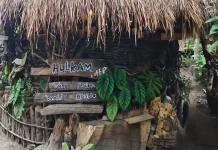 Tinus Wetipo Membangun Mimpi dari Kayu Bekas dan Filosofi "Hati Baik" di Hulkam Cafe
