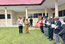 Kepala Distrik Pirime Serahkan Bantuan Bibit Kelinci untuk 14 Kelompok Usaha