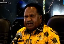 Pengembangan Ekonomi Berbasis Potensi Lokal Papua Pegunungan