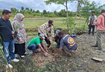 Dinas Pendidikan Nduga Tanam Pohon Dukung Program Jumat Bersih