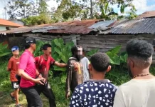 Polsek Wamena Kota Tangkap Terduga Pelaku Curanmor di Jalan JB Wenas
