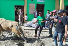 Idul Adha Penuh Kepedulian, LDII Jayawijaya Tebar 400 Kantong Daging