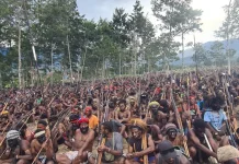 Ritual Adat Yigin Engale Goki Tandai Berakhirnya Konflik Sosial di Wamena