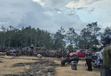 Pemkab Lanny Jaya Gelontorkan Rp1,2 Miliar untuk Dukung Perdamaian Konflik Wamena